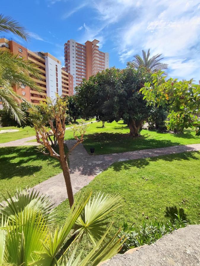 Apartamento Costa De Poniente Benidorm Dış mekan fotoğraf